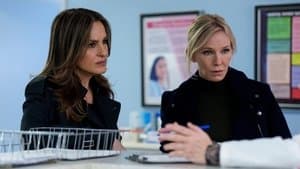 Accomplice Liability