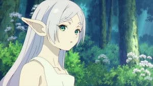 Logistics in the Northern Plateau